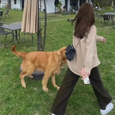 绿林灾难